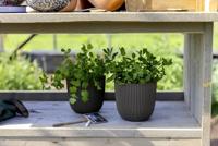 Capi 'made with' groove bol bloempot 28x27 cm peachy fuzz - thumbnail