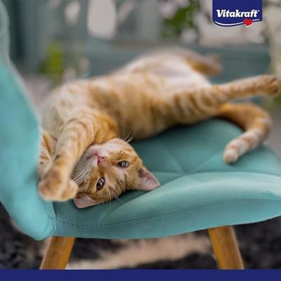 Vita drink salmon 5st Vitakraft - Vitakraft