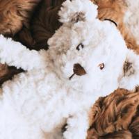 My Dog beer pluche creme - thumbnail