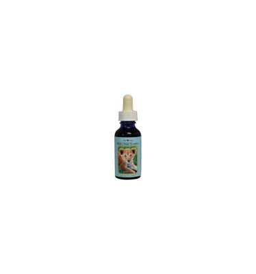 Animal Essences Lion cub (leeuwenwelp) 30 Milliliter