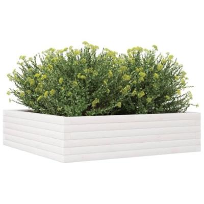 VidaXL Plantenbak 90x90x23 cm massief grenenhout wit