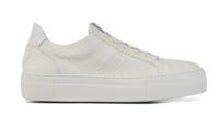 Floris van Bommel Dames Sneakers in Leder (Wit) - thumbnail