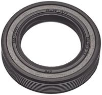 Witte paardekastanje - thumbnail