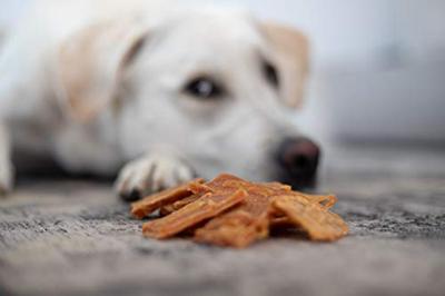 8In1 Fillets Pro Skin & Coat Kippensnack, voor Honden, 1x80g