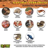 Exo Terra Natuurlijk Mini Terrarium, 30 x 30 x 45 cm - thumbnail