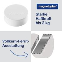 magnetoplan Magneet (Ø x h) 34 mm x 12.5 mm Rond Wit 10 stuk(s) 1665000 - thumbnail