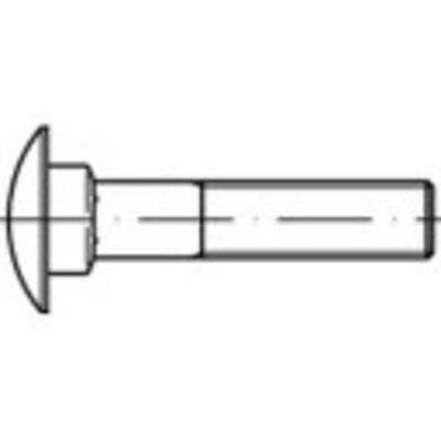 TOOLCRAFT TO-9985941 Platbolschroef M16 110 mm Vierkant DIN 603 RVS A4 10 stuk(s)