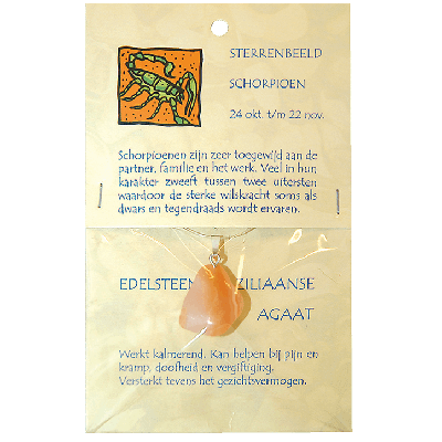 Steengoed Sterrenbeeldhanger schorpioen 1 Stuks
