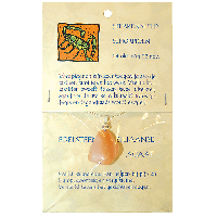 Steengoed Sterrenbeeldhanger schorpioen 1 Stuks - thumbnail