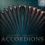 Best Service Accordions 2 (download) - thumbnail