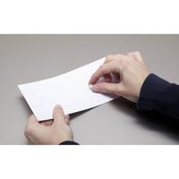 Maul Neodymium magneet (Ø x h) 10 mm x 10 mm Cilinder Zilver 4 stuk(s) 6166896 - thumbnail