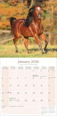 Arabier Kalender 2026