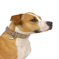 Jack and Vanilla Hondenhalsband - Leer - Grijs - 55 cm - thumbnail