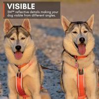 Non-stop dogwear® Hondentuigje Line Harness 5.0, orange, Maat: 5 - thumbnail