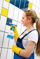 Gloria Haus und Garten 000607.0000 CleanMaster CM 05 Drukspuit 0.5 l - thumbnail