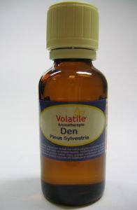 Den pinus sylvestrus