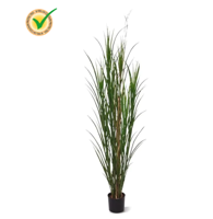Kunst Rietgras plant deluxe 165cm - groen - UV bestendig - thumbnail