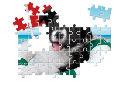 Clementoni legpuzzel super color 10in1 animal friends - thumbnail