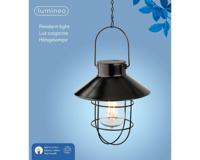 Hanglamp zwart LED warm wit - Lumineo - thumbnail