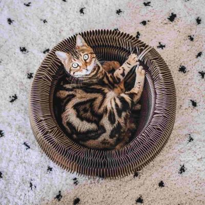 District 70 Maze 3-in-1 opvouwbare kattenmand Per stuk