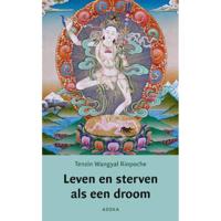 Leven en sterven als een droom (Paperback) - thumbnail