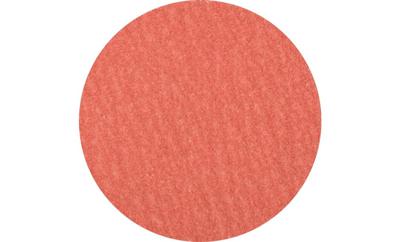 PFERD TOOLS 42749708 Kleinefiberschijf Diameter 75 mm Aluminium, Brons, Titanium 50 stuk(s) PFERD TOOLS 42749708 Kleinefiberschijf Diameter 75 mm Aluminium, Brons, Titanium 50 stuk(s)