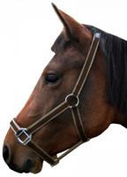S2G halster pony 48 x 35 x 3,5 cm leer donkerbruin/beige - thumbnail