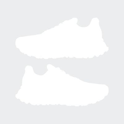 adidas Terrex Soulstride R.RDY Heren