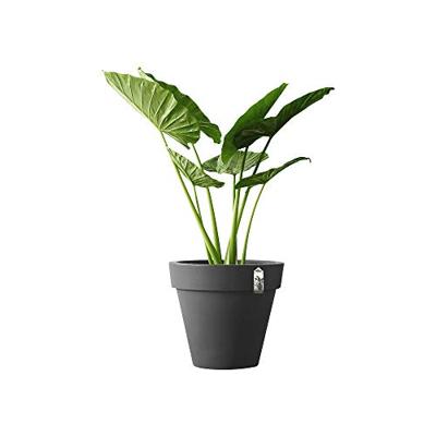 Elho pure bloempot rond 40 cm antraciet Elho pure bloempot rond 40 cm antraciet