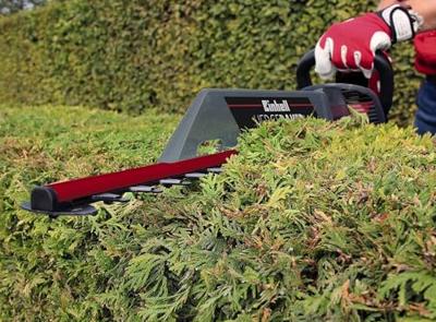 Einhell GC-EH 6055/1 Heggenschaar Elektrisch Met beschermbeugel 600 W 610 mm - thumbnail
