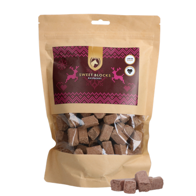 Excellent Horse Christmas Sweet Blocks Framboos