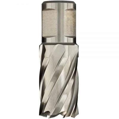 Euroboor HCS.220 | HSS Kernboor | 22x30mm - HCS.220 Euroboor HCS.220 | HSS Kernboor | 22x30mm - HCS.220