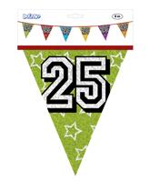 Vlaggenlijn Holografisch 25 Jaar - 8 Meter - thumbnail