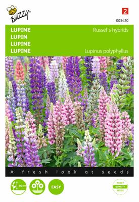 Zaden Lupinus Lupine Russel's Hybrids gemengd Buzzy - Buzzy