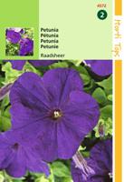 Zaden Petunia Raadsheer Hortitops - Hortitops - thumbnail