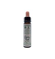 Ainsworths Cherry plum Bach 10 Milliliter - thumbnail