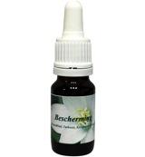 Star Remedies Bescherming 10 Milliliter