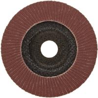 PFERD TOOLS 67649125 PFF 125 A 120 PSF STEELOX Lamellenschijf Diameter 125 mm Boordiameter 22.23 mm RVS, Staal 10 stuk(s) - thumbnail