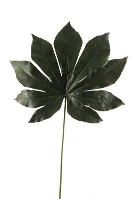 Fatsia Leaf 55 cm kunstplant Emerald - Emerald