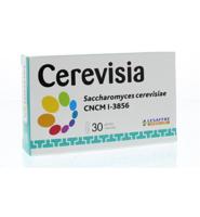 Trenker Cerevisia Capsules - thumbnail