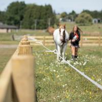 Gallagher Afstandisolator ring top 40 cm hout (5) - 751221 - thumbnail