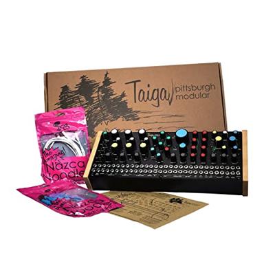 Pittsburgh Modular Taiga synthesizer