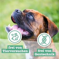 Chewies Hondensnacks, training, mini-pantsen, enkels, 125 g, hondensnacks, suikervrij en met een hoog vleesgehalte, ideaal als trainingsstraktatie voor je hond - thumbnail