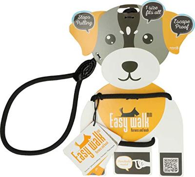 Easy Walk Mini Schoudermodel Zwart