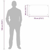 VidaXL Keuken achterwand 2 pcs doorzichtig 70 x 40 cm gehard glas - thumbnail