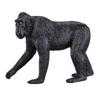 Mojo wildlife zwartgekroonde makaak - 387182 - thumbnail