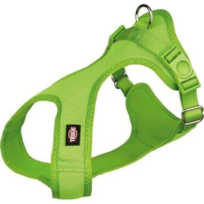 TRIXIE DENTA FUN VEGGIE BOT HONINGRAAT ASSORTI 8,5 CM 60 ST