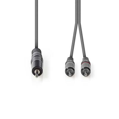 Nedis Stereo-Audiokabel | 3,5 mm Male naar 2x RCA Male | 1.5 m | 1 stuks - COTH22200GY15 COTH22200GY15