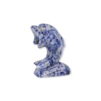 Dolfijn Sodaliet - thumbnail