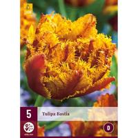 Tulp Bastia 5 bollen - thumbnail